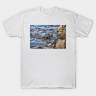 Honu T-Shirt